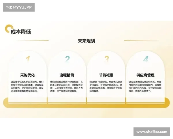 足球俱乐部转会资金使用计划及其优化策略分析与实施方案